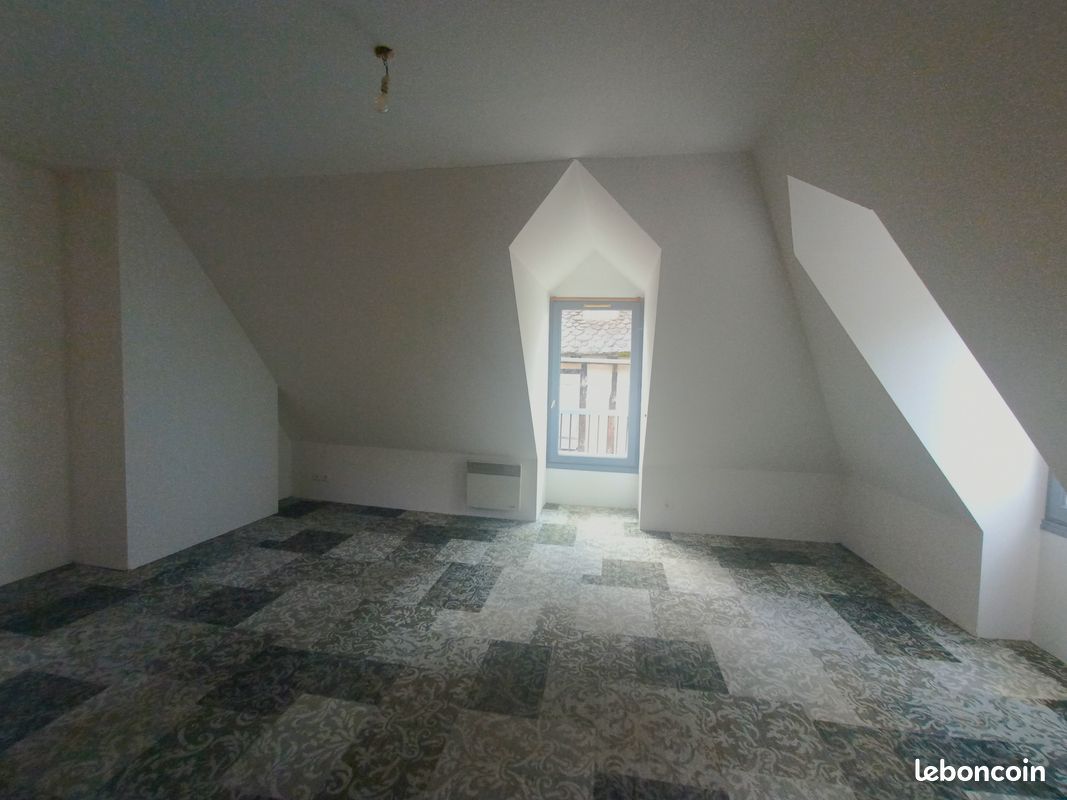 Coeur historique d'Argentat : appartement T2 mansardé proche de tous commerces - Argentat-sur-Dordogne 19400 Argentat (image principale 1)