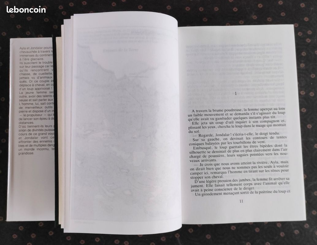 Le Grand Voyage - tome 4 Les enfants de la terre - J. M. Auel (image 10)
