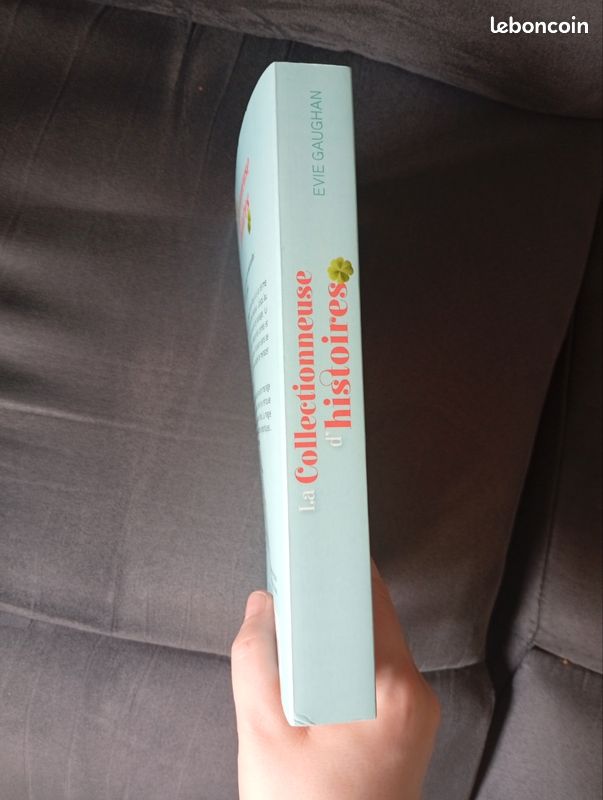 Livre la collectionneuse d'histoires d'Evie Gaughan (image 2)