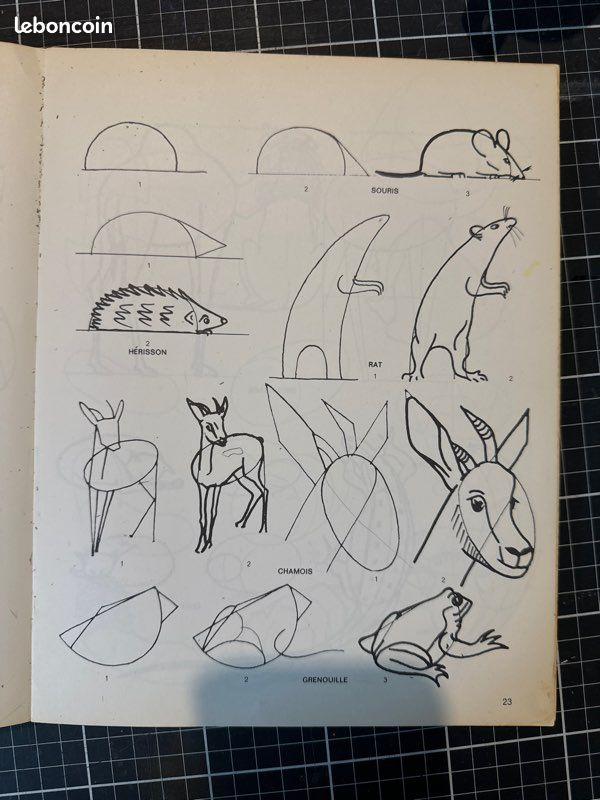 Les personnages et les animaux par le dessin et la caricature (image 5)
