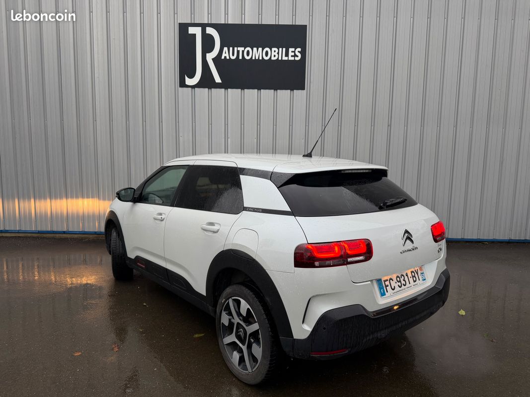 Citroen C4 Cactus PureTech 110ch S&S Shine (image 5)