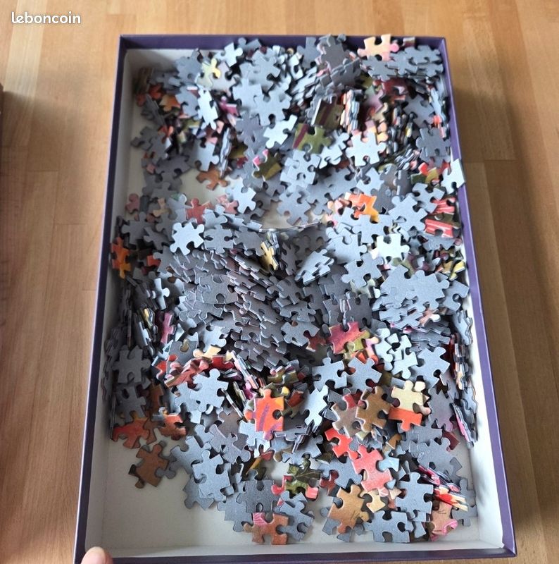 Puzzle 1000 pièces (image 3)