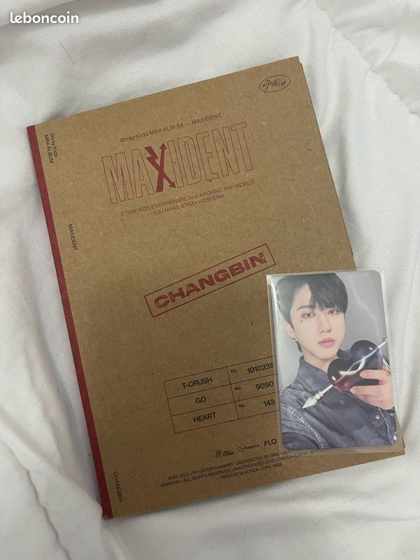 Stray kids album (image 1)