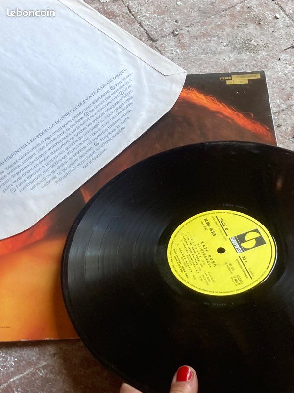 Vinyle Lionheart (image 3)