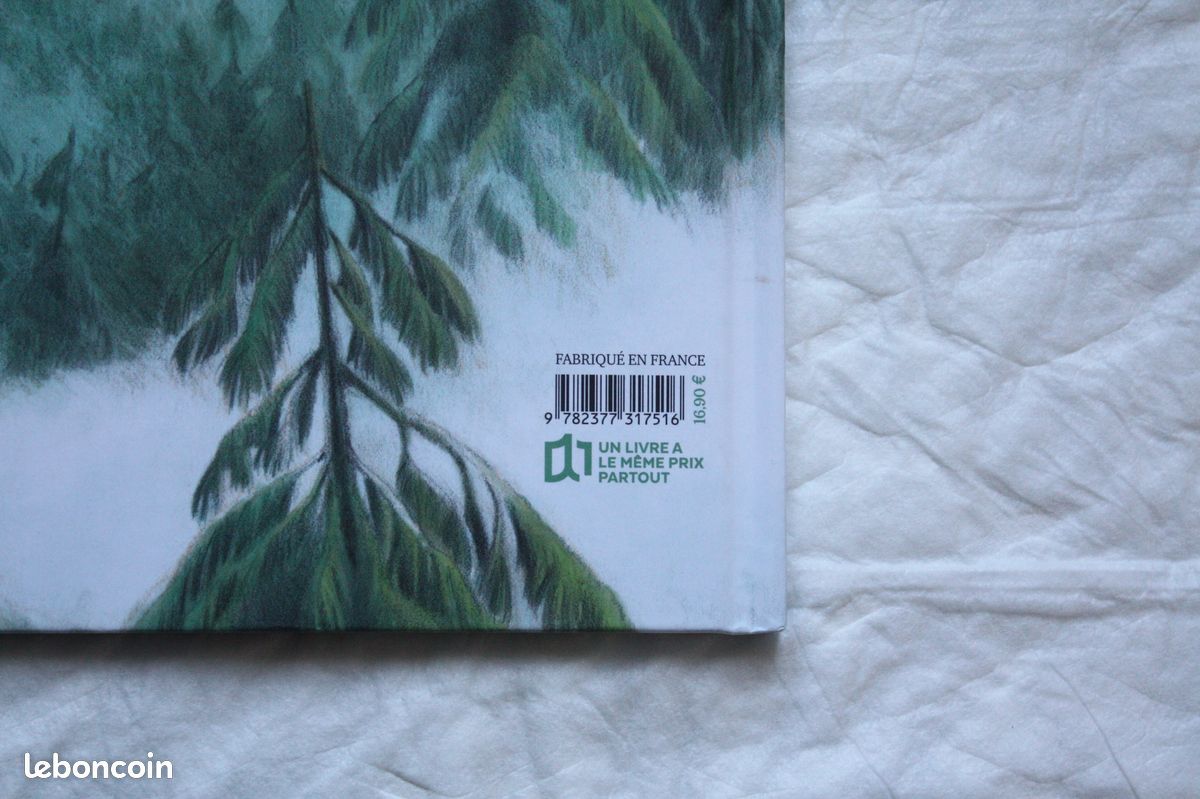 Livre grand format pour enfants LE ROI ET L'ENFANT (image 16)