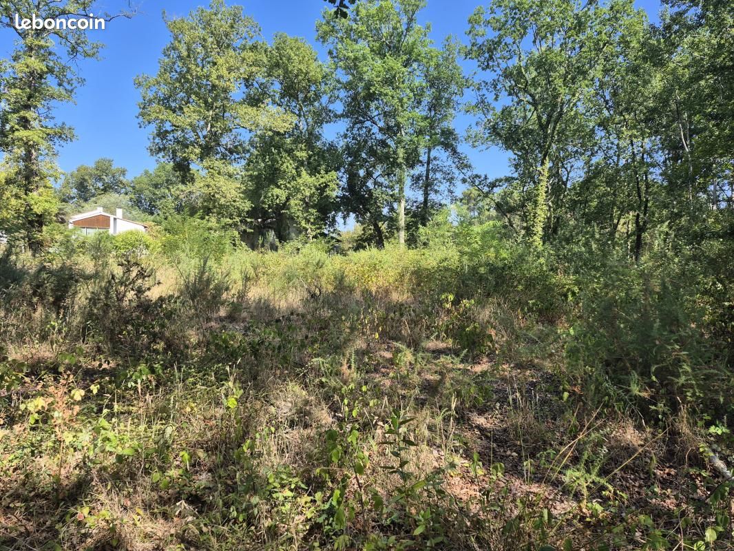 Terrain 1744 m² · à La Brède · 244 000 €