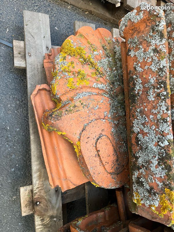 Tuiles Perrusson à vendre (image 3)