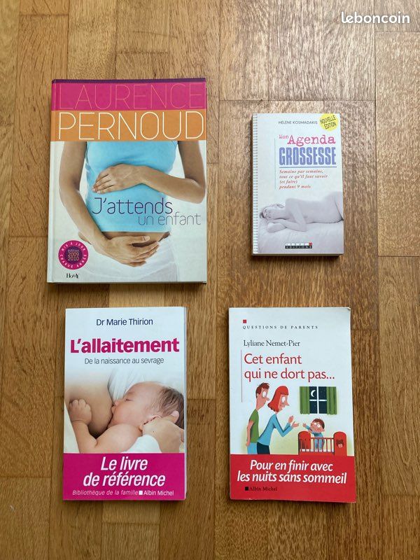 Lot livres grossesse/allaitement/parentalité (image 1)