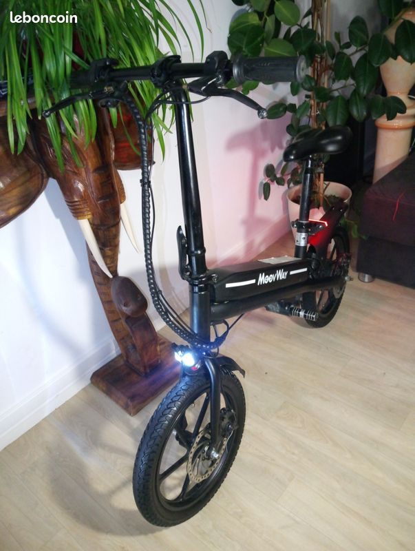Draisienne electrique (image 6)