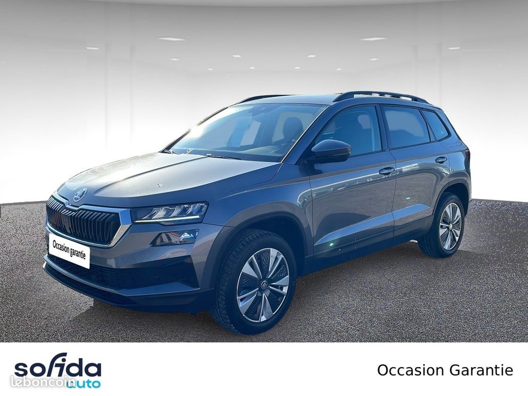 SKODA Karoq 1.0 TSI 110 ch Business (image 1)