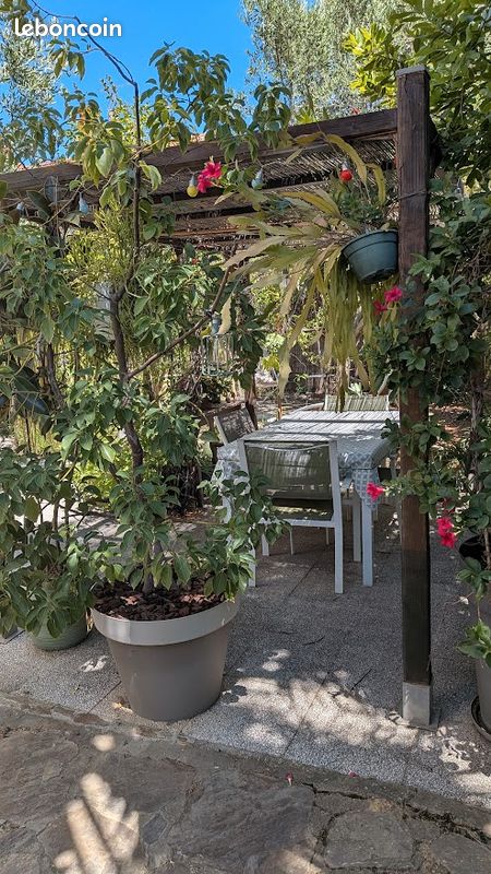 Appartement lumineux avec jardin à Perpignan - 66 (image 15)