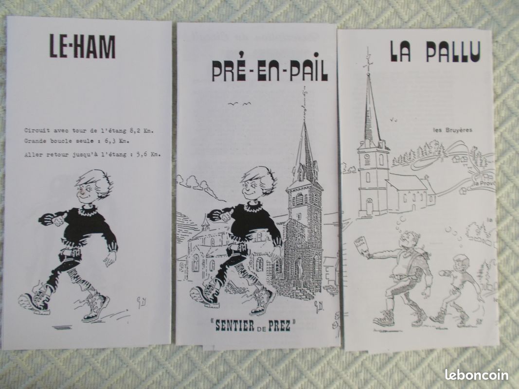 Carte IGN Laval-Argentan + Itinéraires de randonnée en Mayenne (image 6)