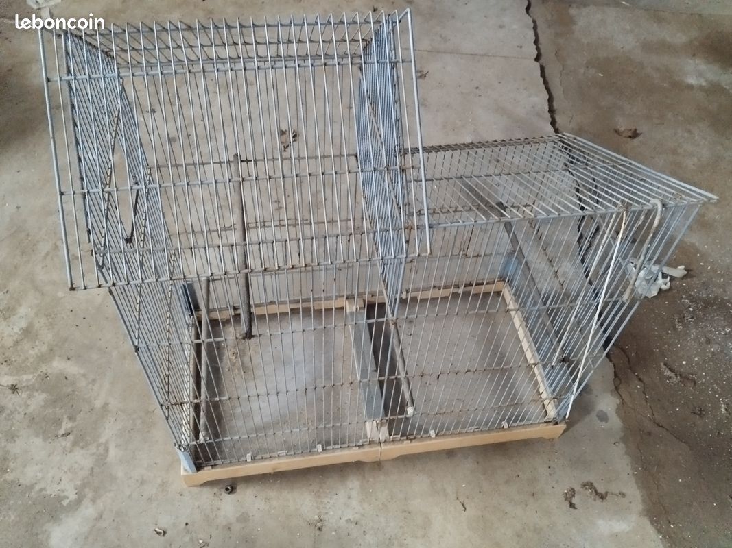 Cage à oiseaux (image 1)