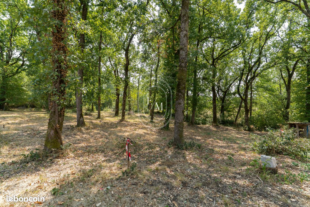 Terrain 2674 m² Villemur-sur-Tarn (image 6)