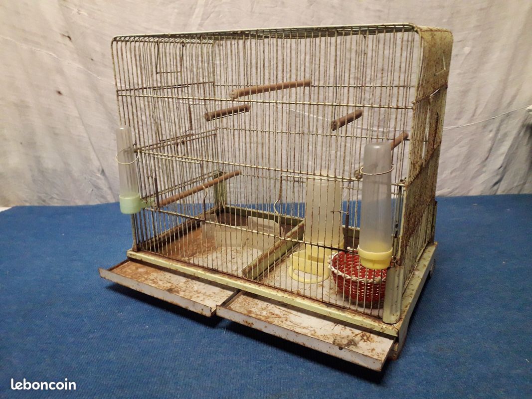 Cage à oiseaux dans son jus (image 6)