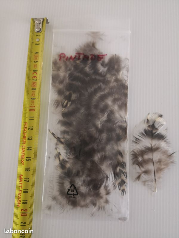 Lot De Plus De 160 Mouches De Pêche Anciennes – Nymphes, Plumes, Fourrure