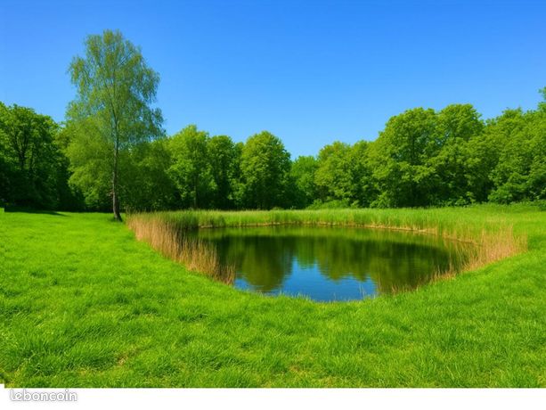Terrain 4 249 m² Muret Et Crouttes