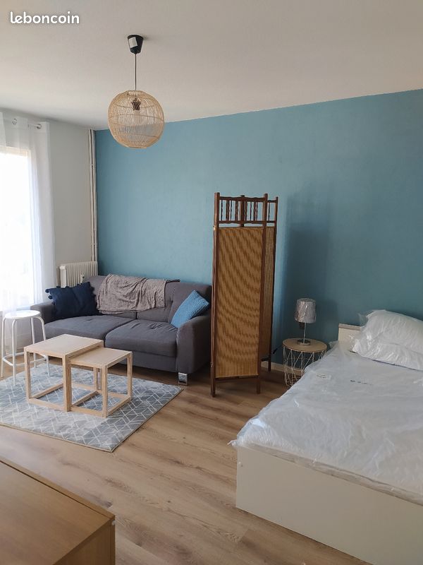 Location meuble - Limoges 87000 Bénédictins-Montplaisir (image principale 1)