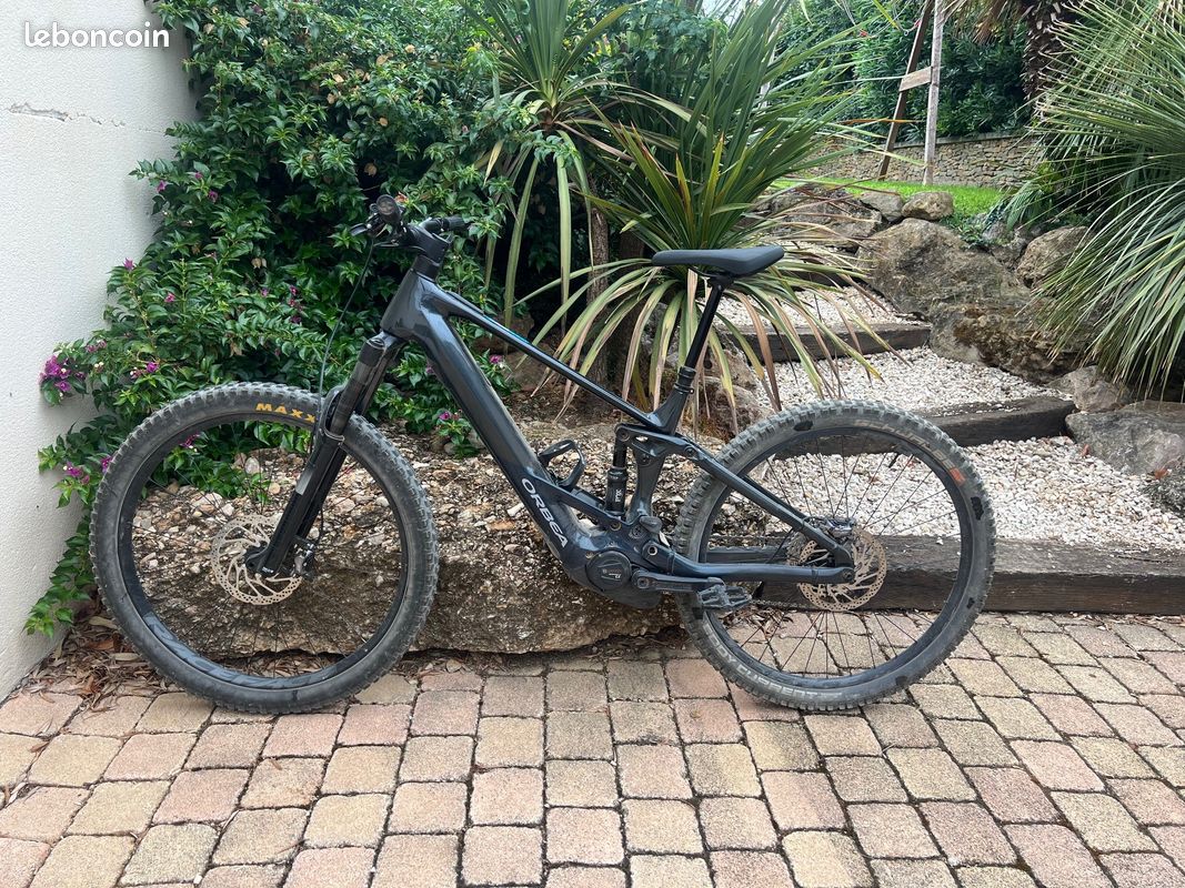 Orbea Wild 2024 (image 1)