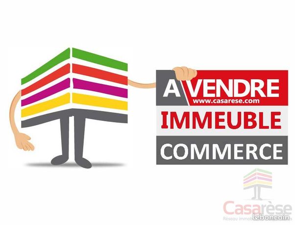Immeuble 300 m² TIGY