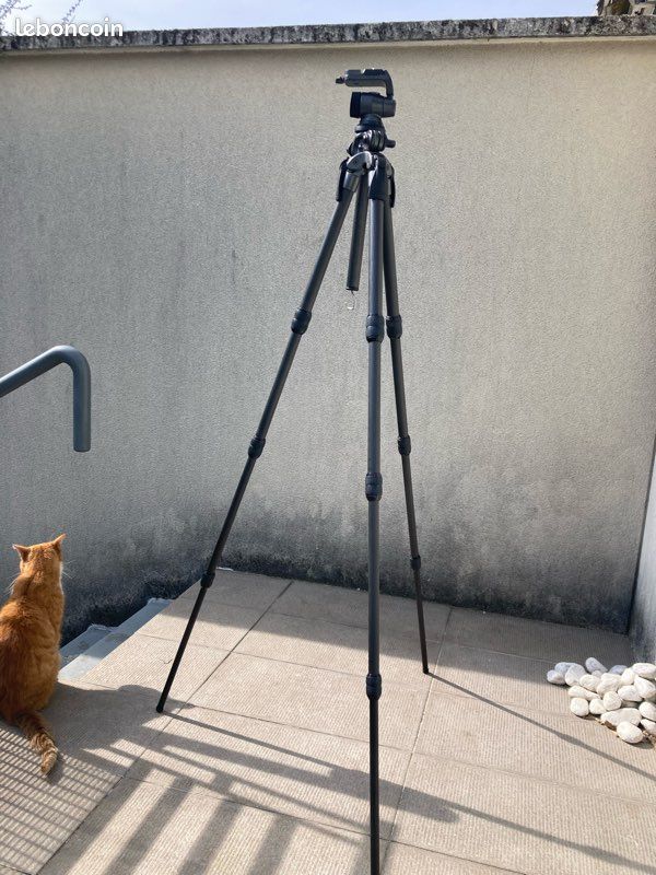 Gitzo Trèpied Gilux Sport avec une tête Gitzo R N° 1 Tripod - auction