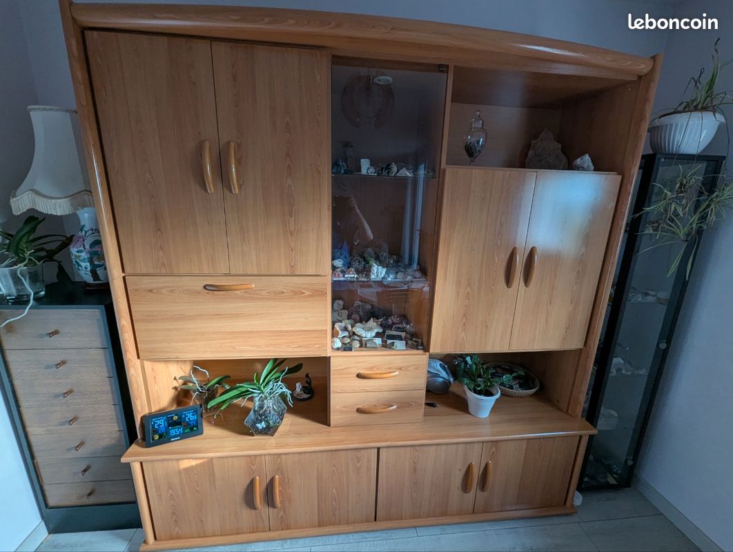 Meuble séjour type living (image 1)