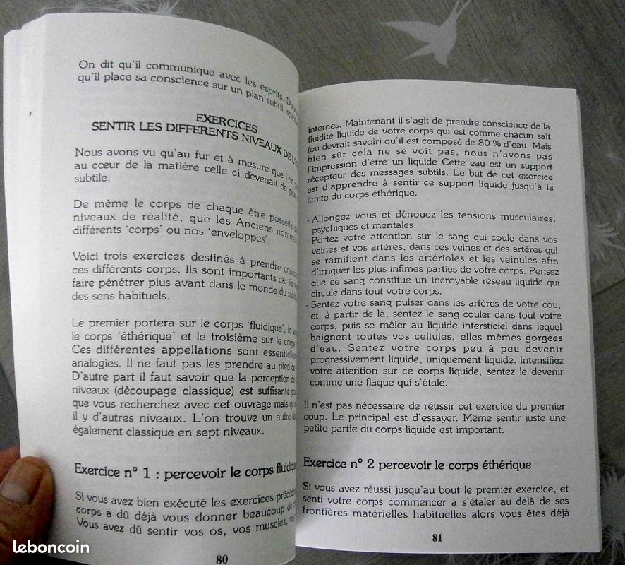 La Voyance en 16 leçons – Marie Delclos (image 3)