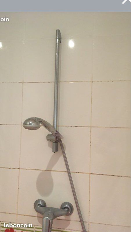 Mélangeur robinet Ramon Soler et Hansgrohe et colonne douche (image 2)