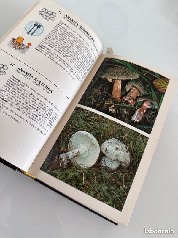 Un Guide Nathan sur les champignons couverture marron (image 9)