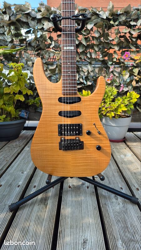 ESP custom The Mirage (image 2)