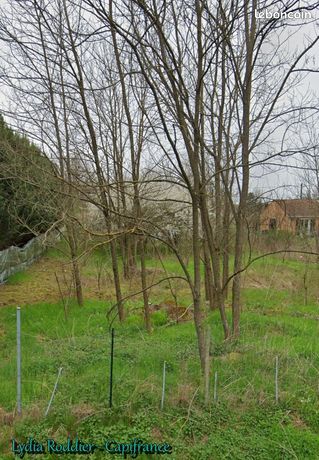 Terrain 1 415 m² Puy Guillaume