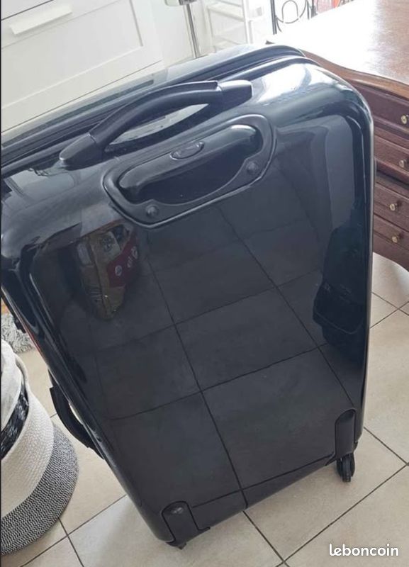 Valise Longchamp LGP - Édition Limitée (image 2)