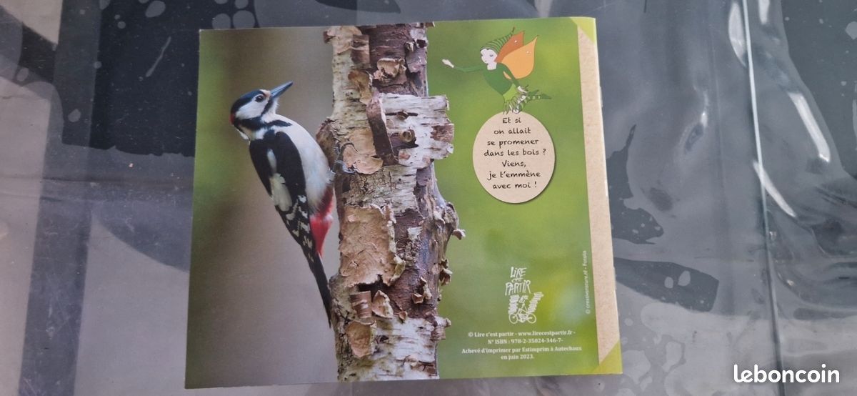 Livre : en forêt avec la fée Danaé (image 2)