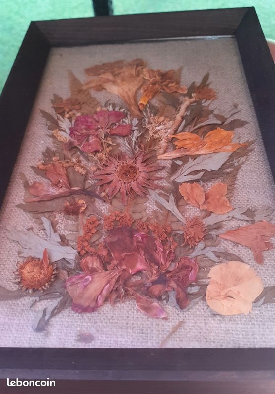 Cadre de fleurs séchées ancien (image 2)