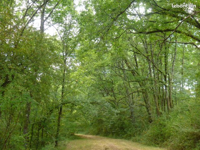 Super vue sur la vallée - Studio ideal single person/ couple ( babies welcome, we have a cot)/ or 2 friends (image 13)