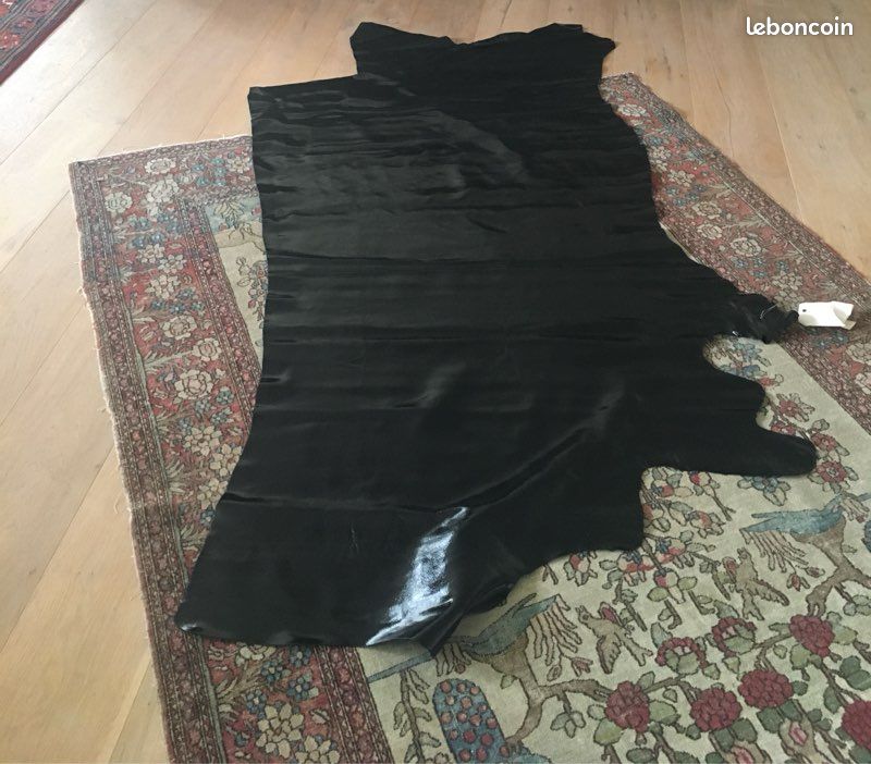 Peaux de cuir exceptionnelles (image 9)