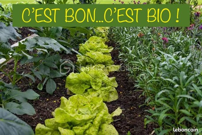 https://img.leboncoin.fr/api/v1/lbcpb1/images/bc/79/50/bc7950fc7d4eb22fca09335ca19546f24aeb4faa.jpg?rule=ad-image