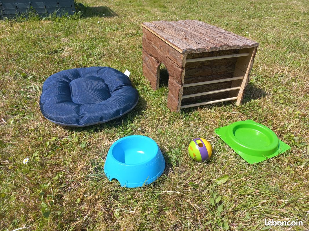 Lot maison et accessoires lapin- rongeur (image 3)