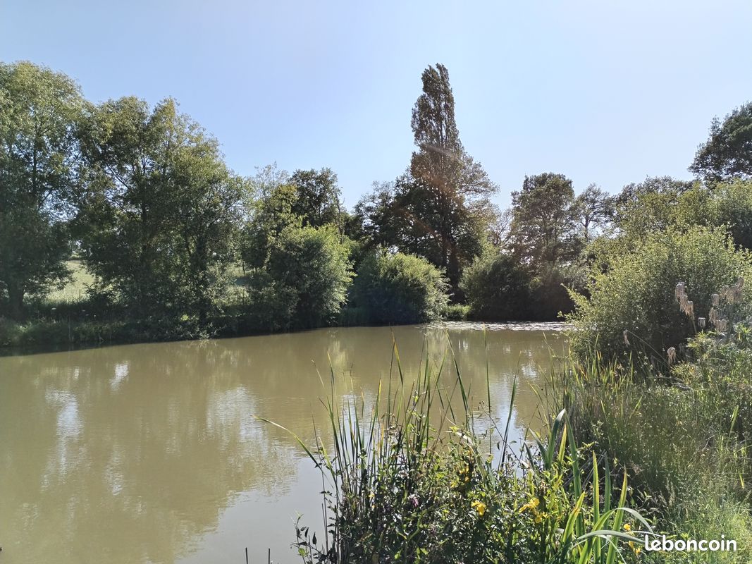 Étang et terrain de loisir · à Saint-Aubin-d'Aubigné · 50 000 €