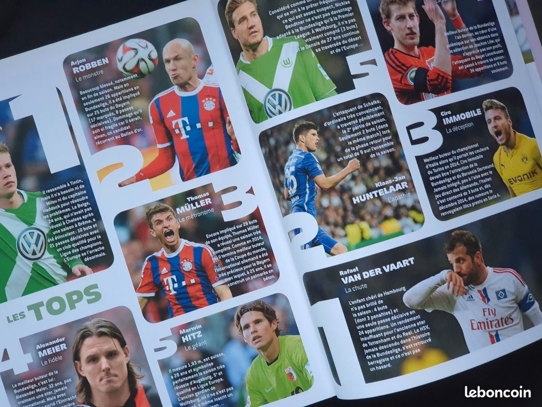 Le livre d'or du football 2015 Livres