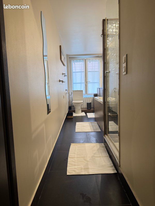 Appartement cœur triangle d’or (image 15)