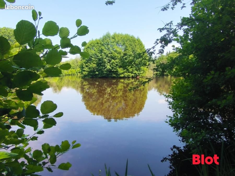 Propriété 3 pièces 48 m² (image 12)