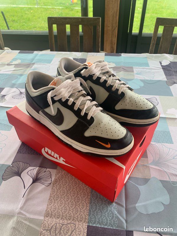 Nike Dunk low SB 45 Chaussures