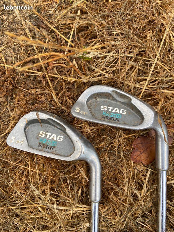Sac de golf et 16 clubs (image 6)