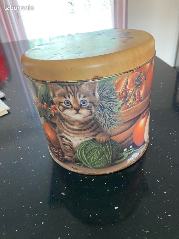 Grande Boîte pour chat métallique Ballocco vintage (image 2)