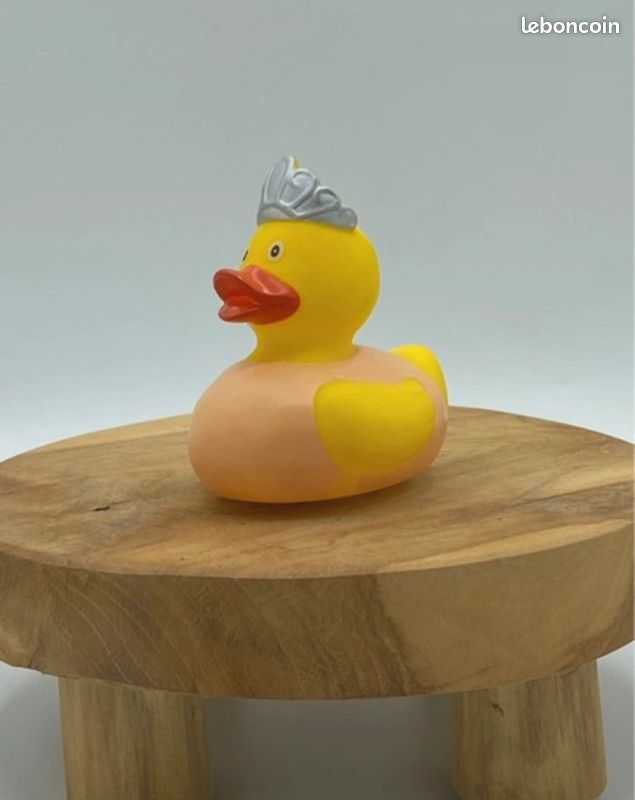 Collection canard en plastique (image 2)