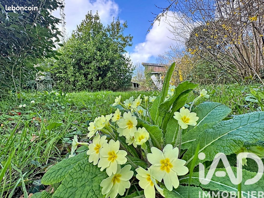 Terrain 1624 m² · à Combrit · 1 624 m² · 139 700 €