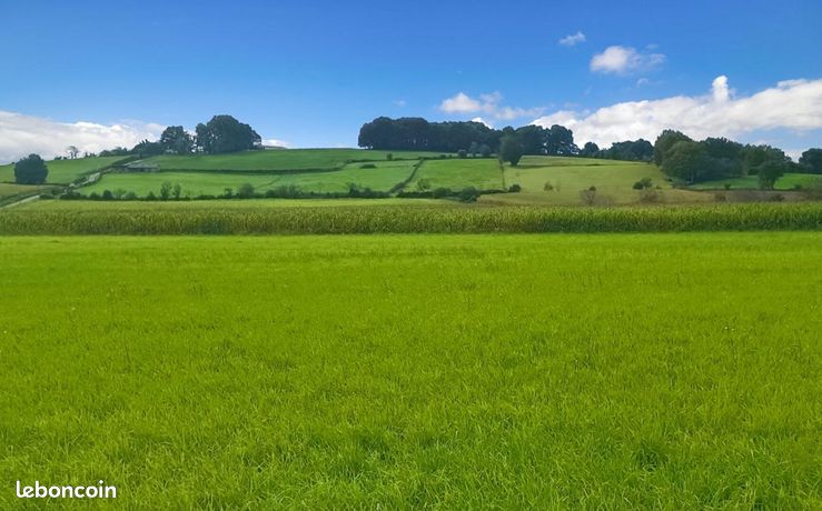 Terrain 11 000 m² Bidache