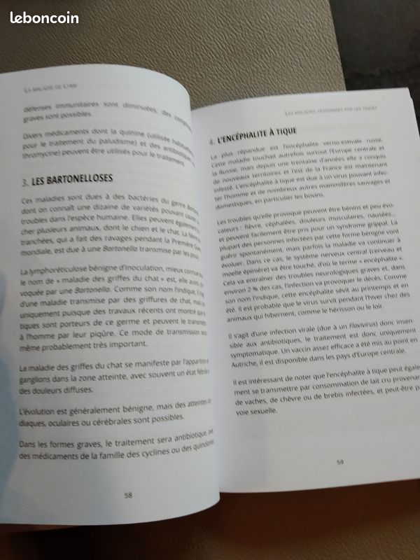 La maladie de lyme (image 3)