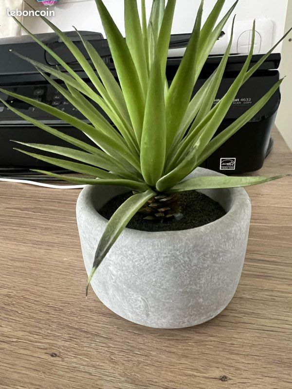 Petite plante en plastique (image 1)